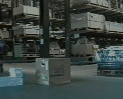 jump9.gif (401685 Byte)